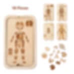 Montessori Educational Toy 4-Layer Human Body Anatomy Puzzle