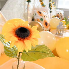 Gallery | Pitched 2 Perfection | Slumber Parties | North & South Carolina