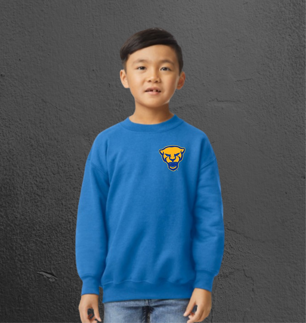 Thumbnail: TGE Designer Sweatshirts for Boys