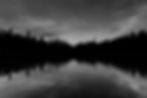 Black and white picture of trees lining a lake