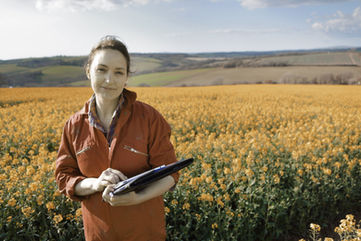 食品生产加快以满足全球需求。