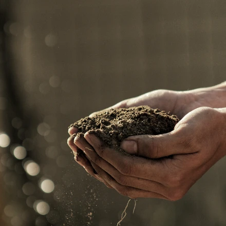 The U.S. is losing four tons of topsoil per acre, every year.