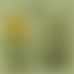 July gardening scene featuring summer plants, bees, and essential tools like a hand fork and watering can in a flat illustration style.