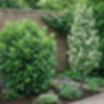 The Gentle Embrace - Small Gardens