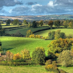 UK countryside with established hedgerows and farmland — example of managed rural landscape.”