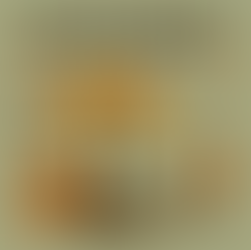 November Gardening Advice with bare root trees being planted and young trees being protected with spiral guards