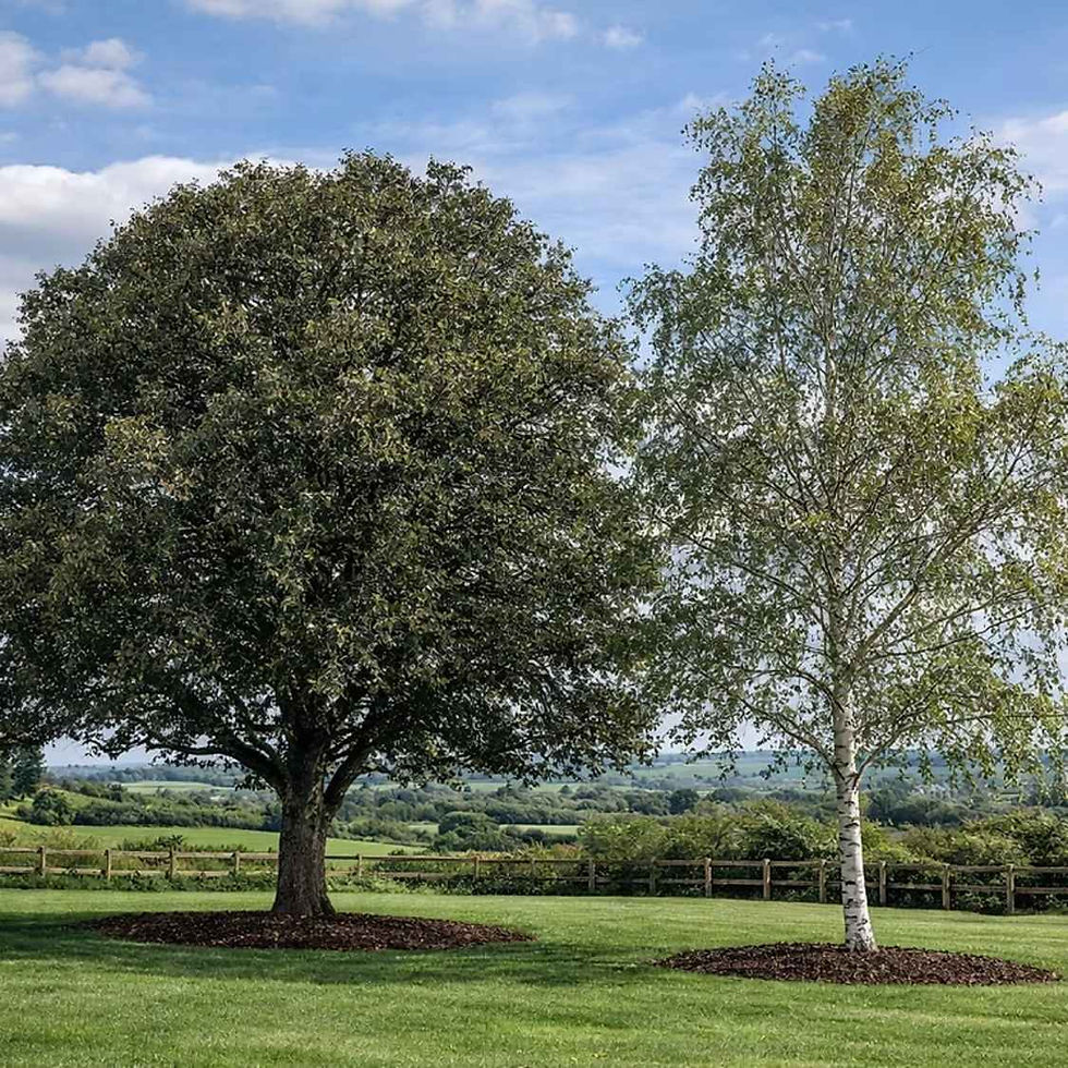 The Forever Pair - Large Gardens