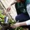 Miniaturbild: RHS Endorsed Hand Trowel