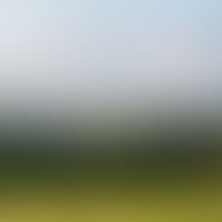 BN7 & BN11 Hedgerow Grants: A Farmer’s Guide to Gapping-Up and Planting New Hedges