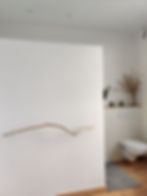 Badkamer toilet