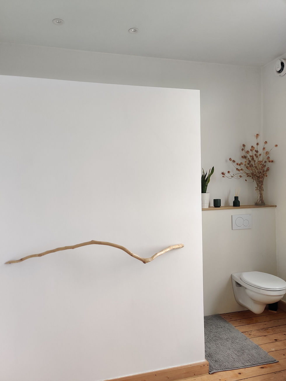 Badkamer toilet