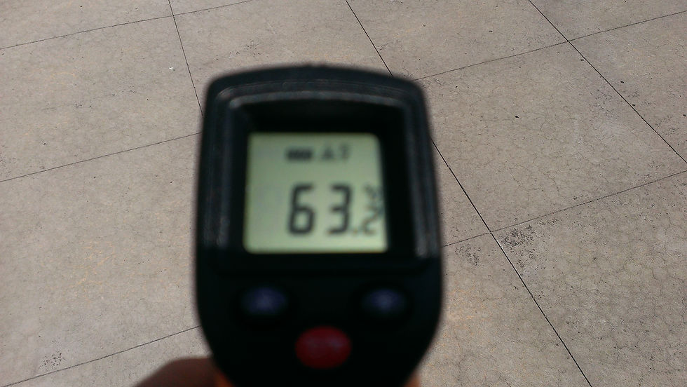 IMAG7574