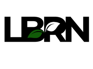 熊本でマーケティング代行ならお任せを!