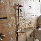 Traditional Chinese Medicine