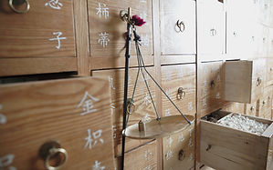 énergétique chinoise phythothérapie Béatrice Filosa Marseille