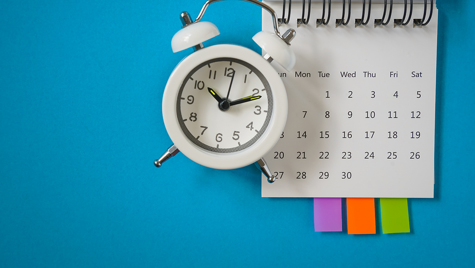 Revision schedule
