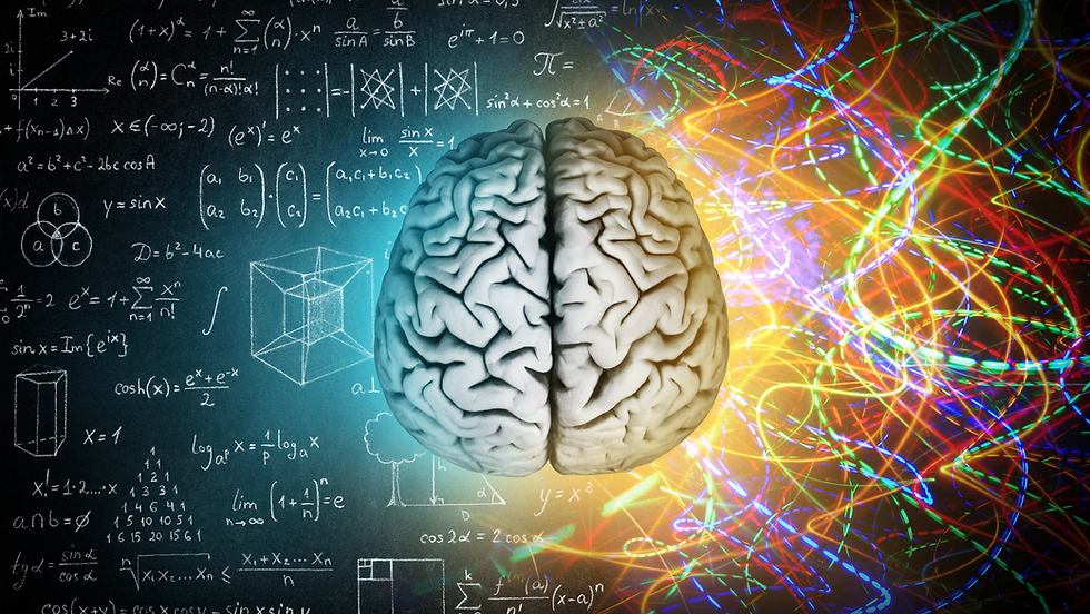 Brain lateralisation