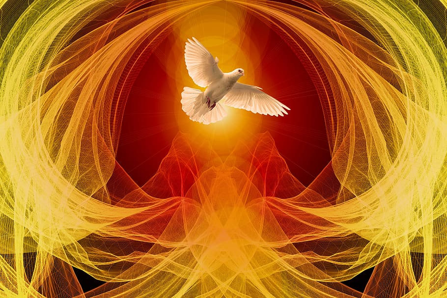 dove-wave-particles-abstract-background-
