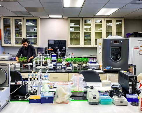Improving In-Field and Lab Disease Detection Using Advanced Molecular Tools