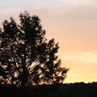 IMG_1039.jpeg