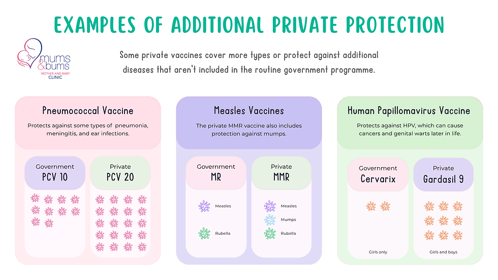 Comparison of government and private pneumococcal, measles and HPV vaccines, including PCV10 vs PCV20, MR vs MMR and Cervarix vs Gardasil 9.