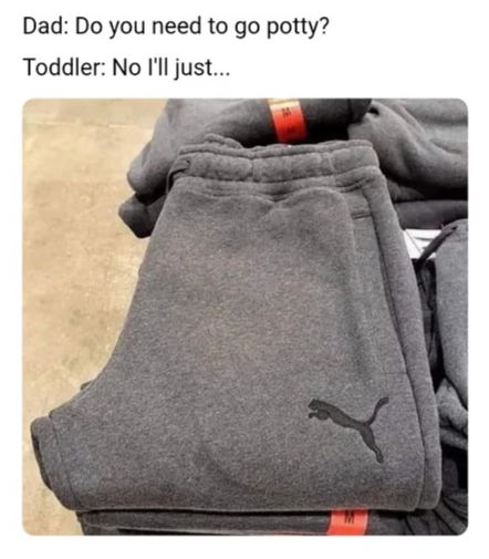 Funny potty training meme of toddler refusing toilet, Puma sweatpants with wet patch joke “Poo-ma pants.”