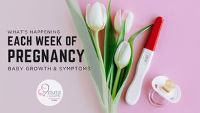 Weekly pregnancy changes showing baby growth and common pregnancy symptoms at each stage