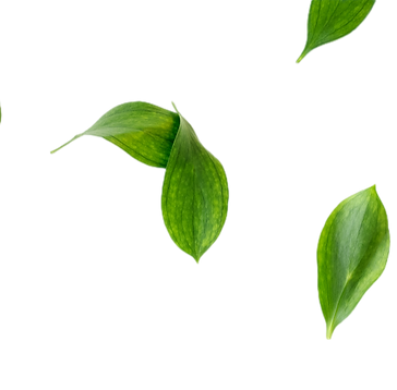 Image-2