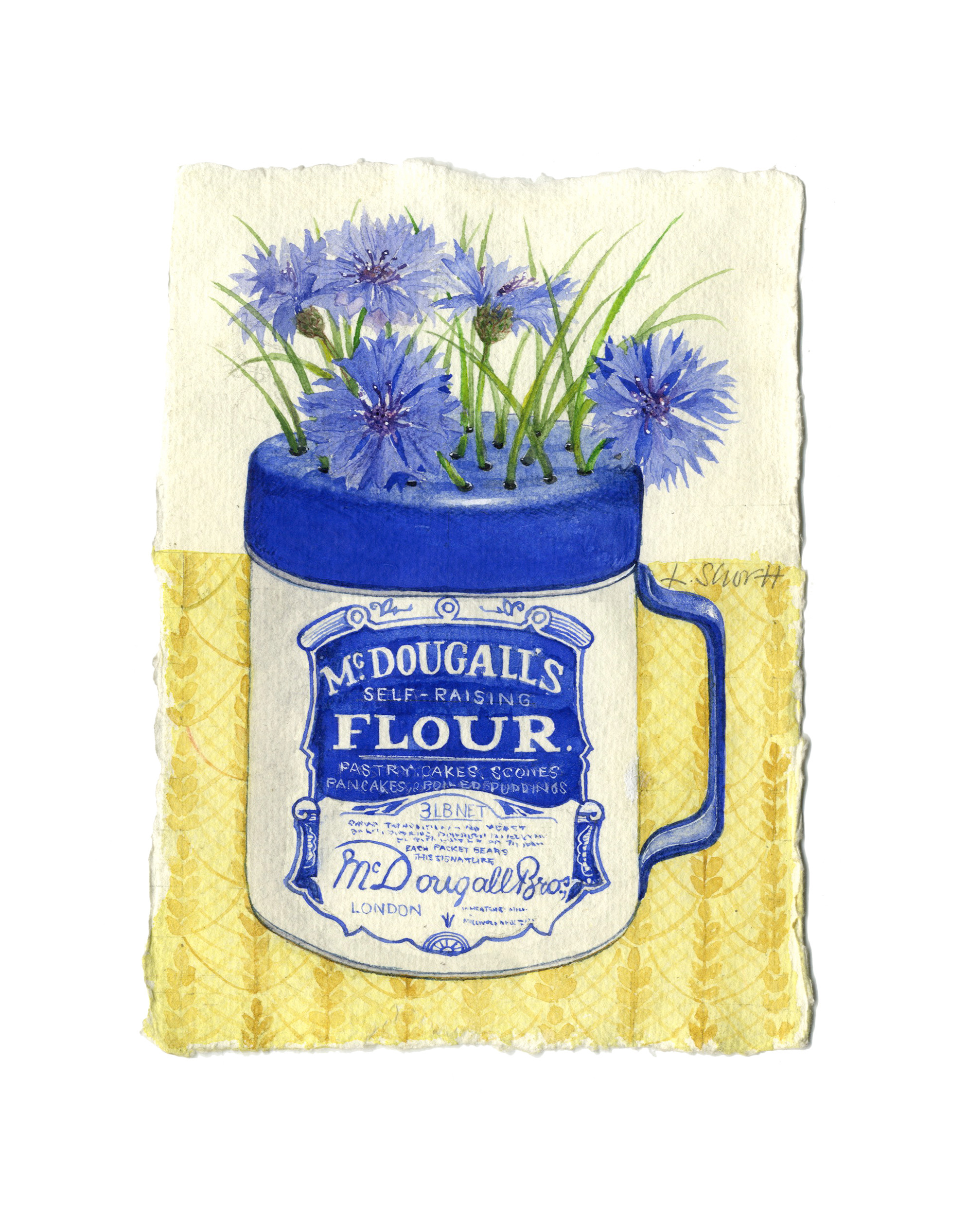 Cornflowers in a Flour shaker