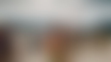 Our most prestigious field day! 