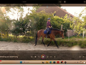 Kann man online Reiten lernen?