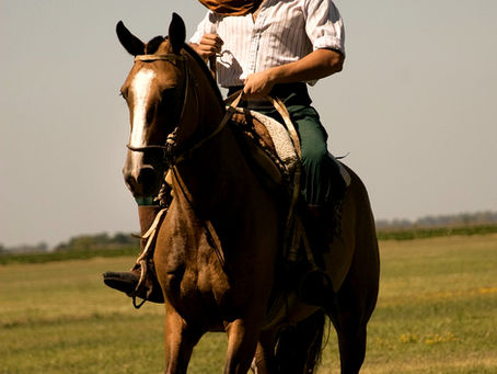 Impulsreiten – Reiten mit minimalen Hilfen
