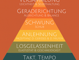Die Skala der Ausbildung – Dein roter Faden beim Reiten