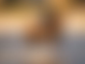 Schlaufzügel im Gelände