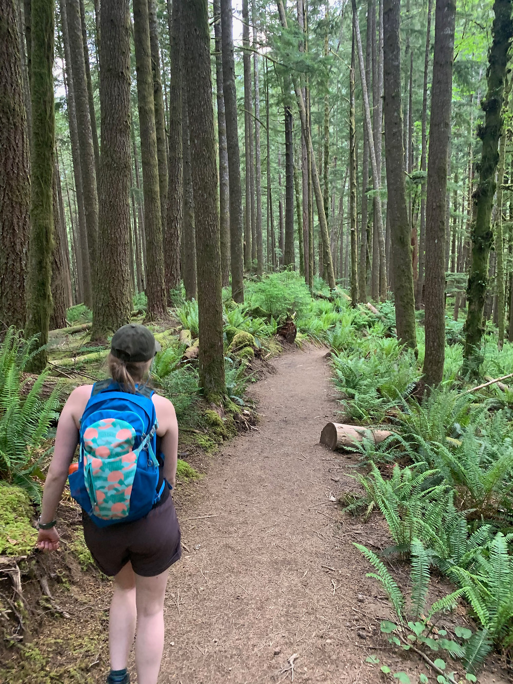 Woman hiking the Garfield Ledges trial