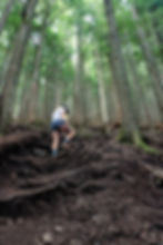 Girl hiking mailbox peak trail in the woods 