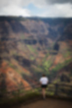A woman look at Waimea Canyon
