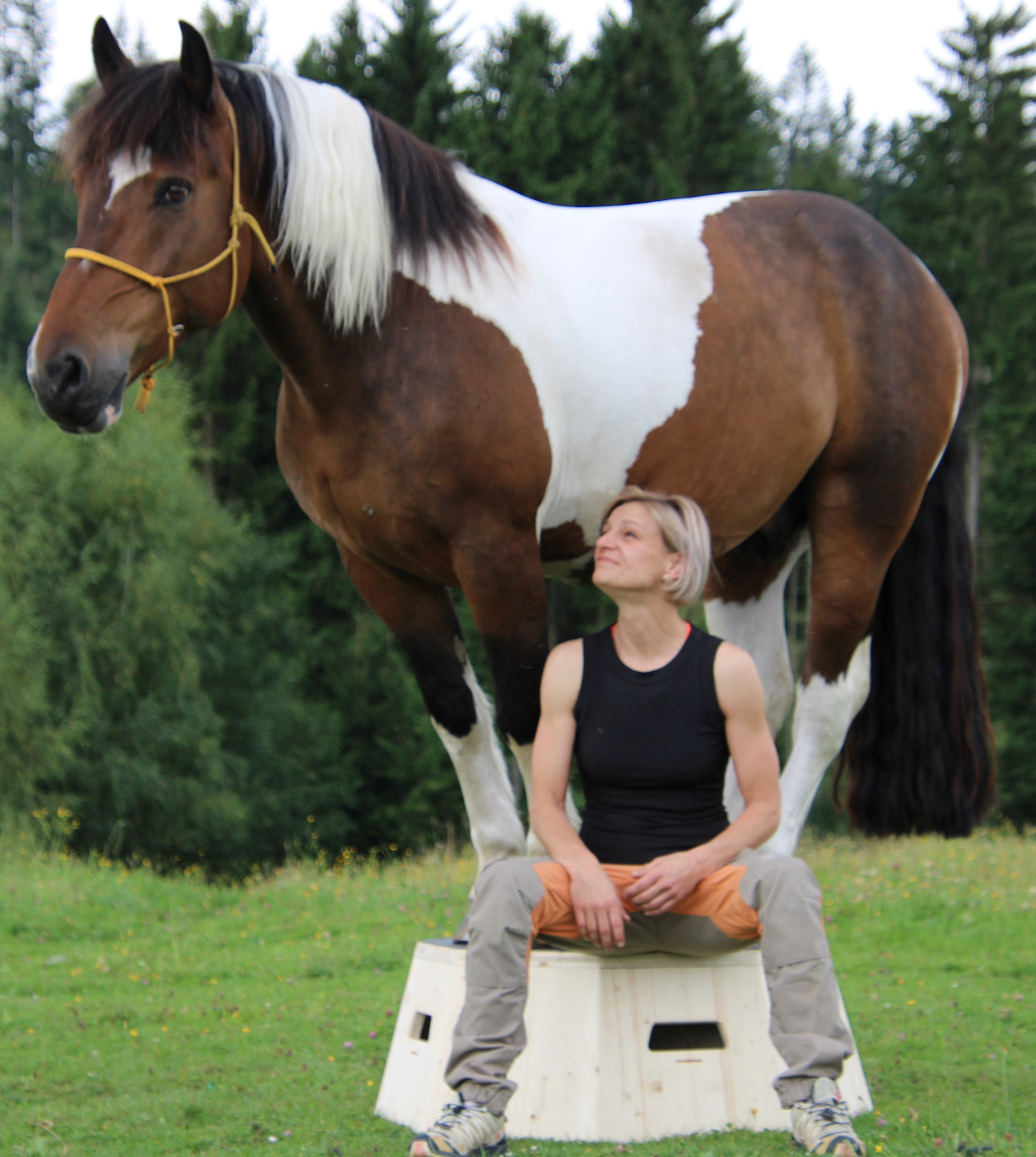 Autorenbild: Anne Reindl