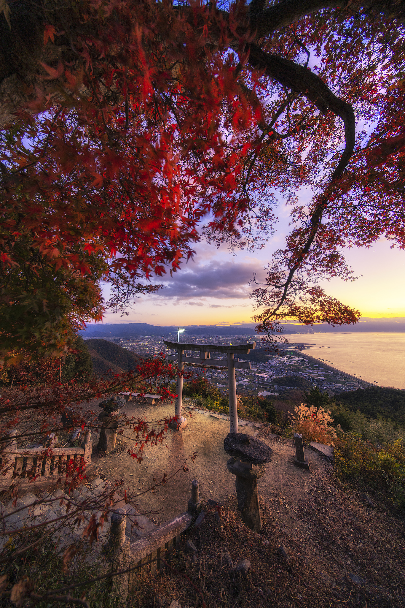 Autumn leaves in the empty country