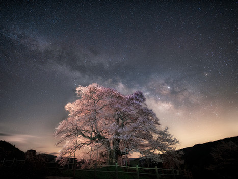 Adobe Lightroom CC のPVに出演‼️