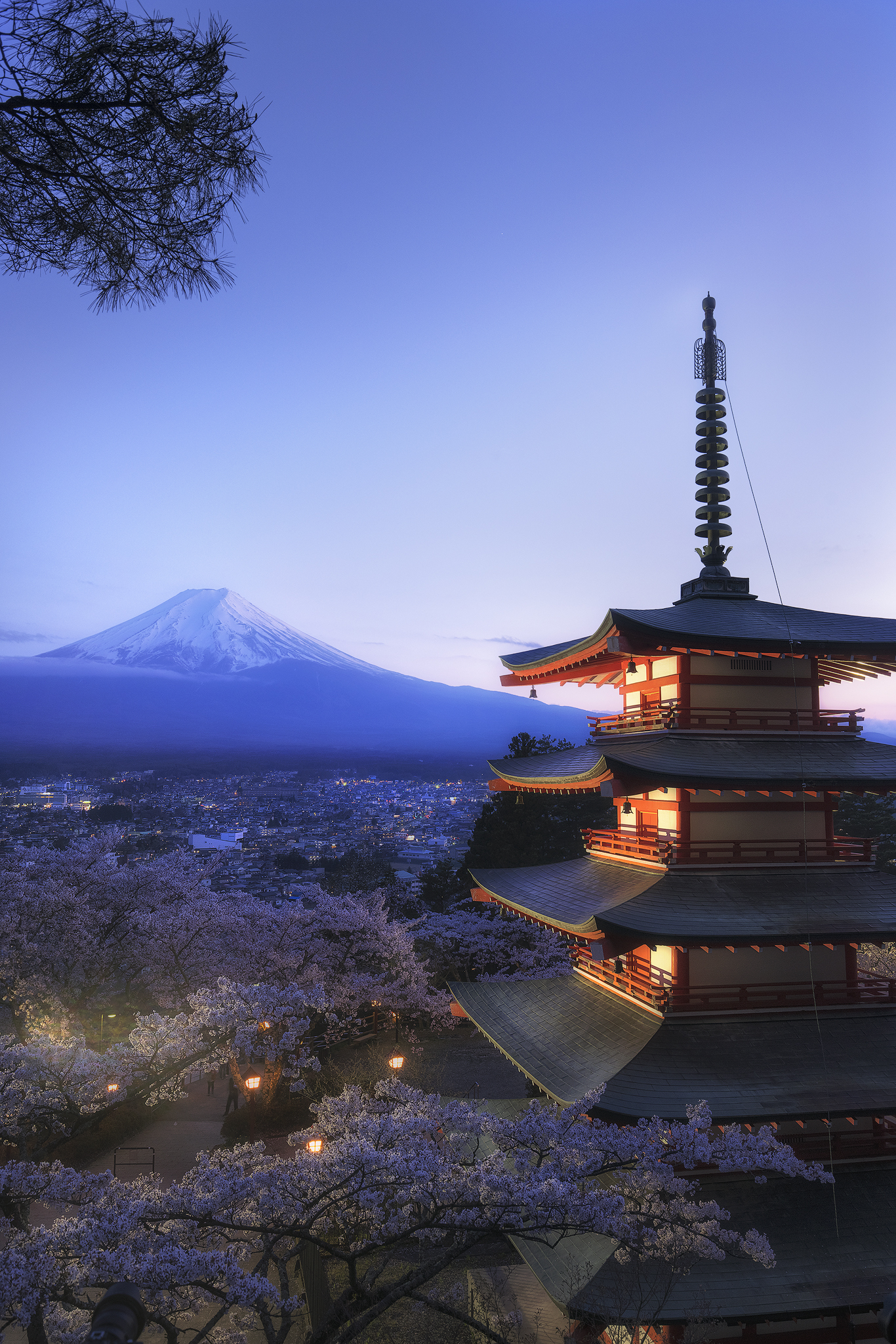 Mt.Fuji and cherry blossoms 2