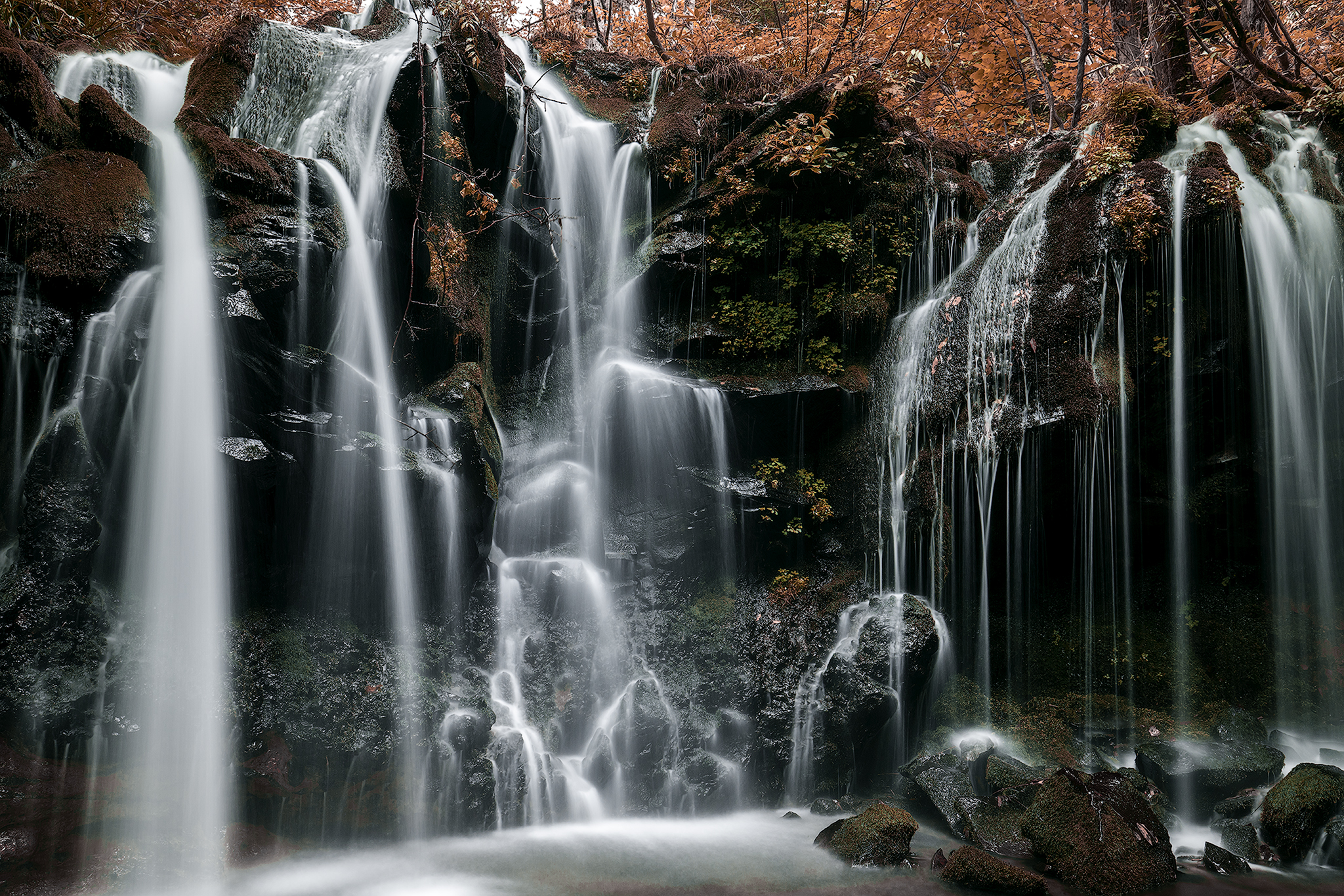 Waterfall Of Red In The Forest