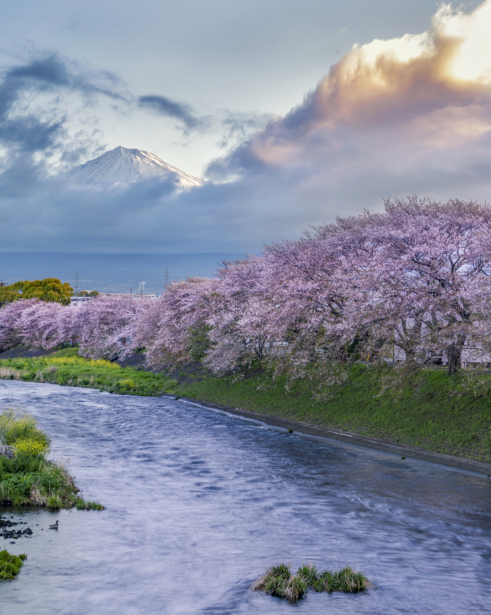 Mt.Fuji