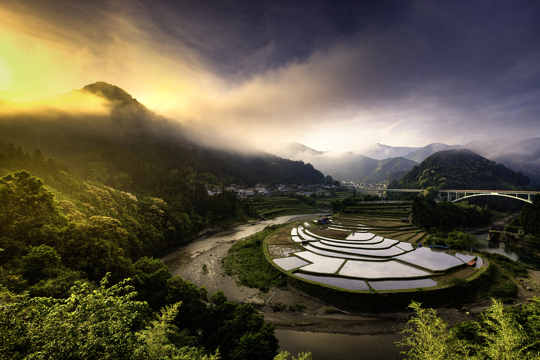 Rice Paddy