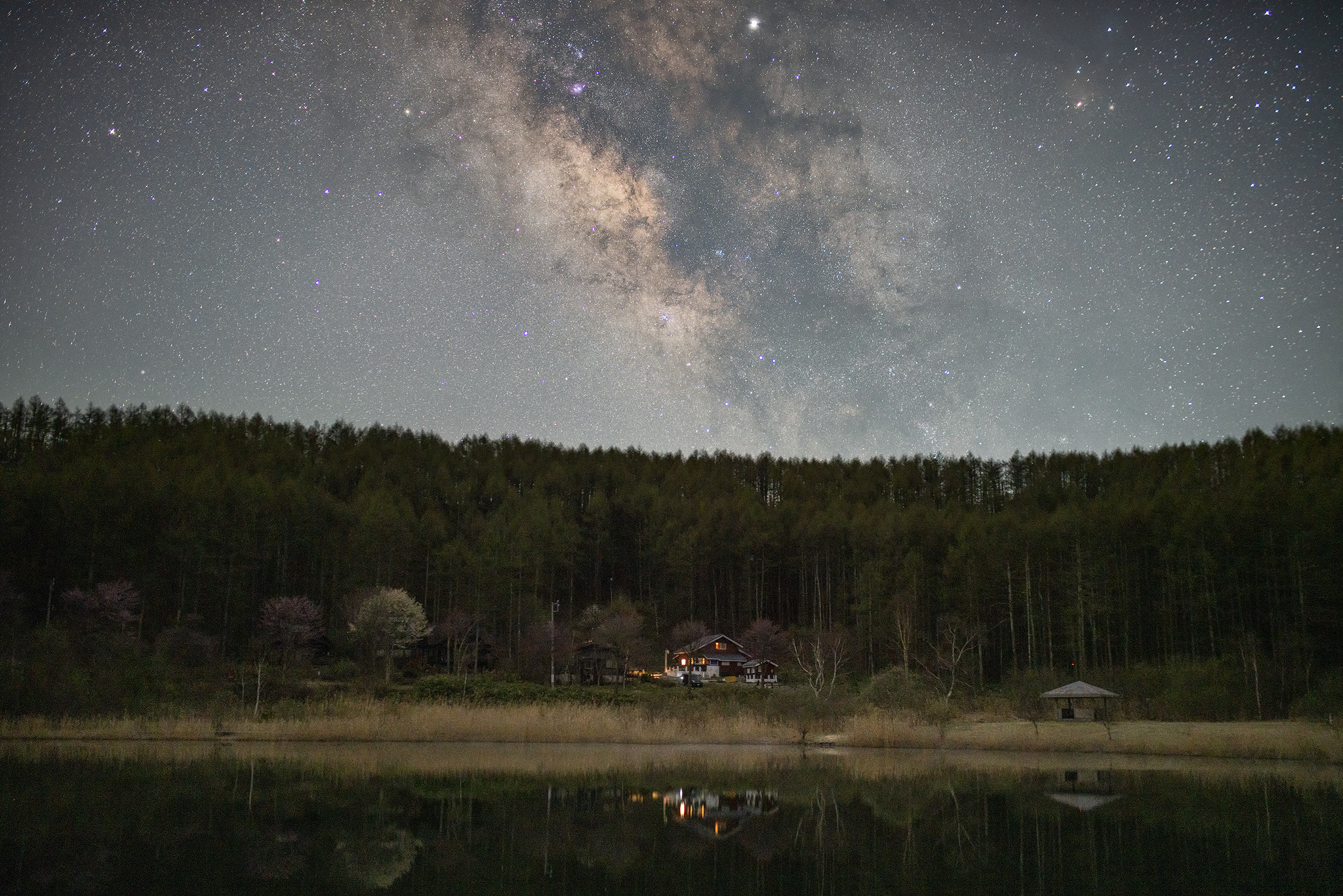 A Starry House
