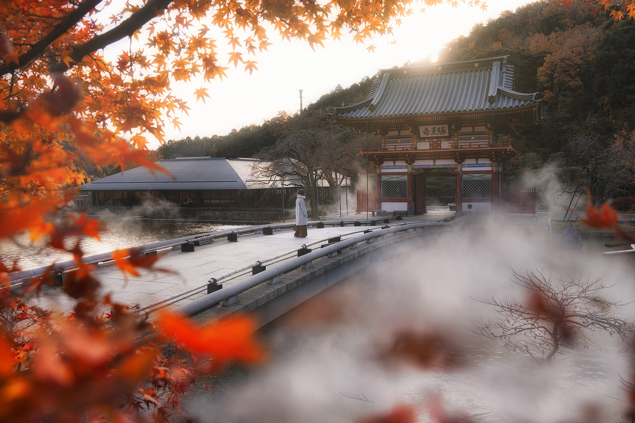 Purification_Bridge