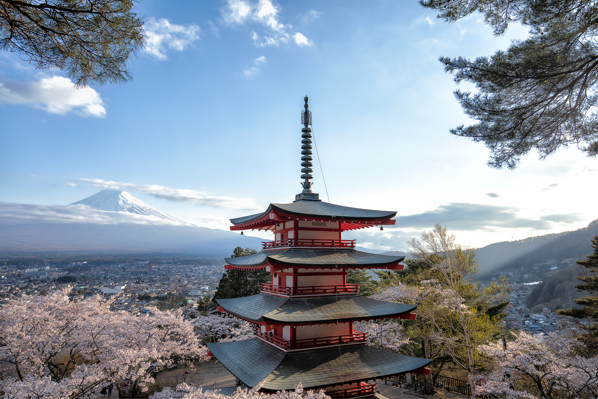 Mt.Fuji and cherry blossoms 3