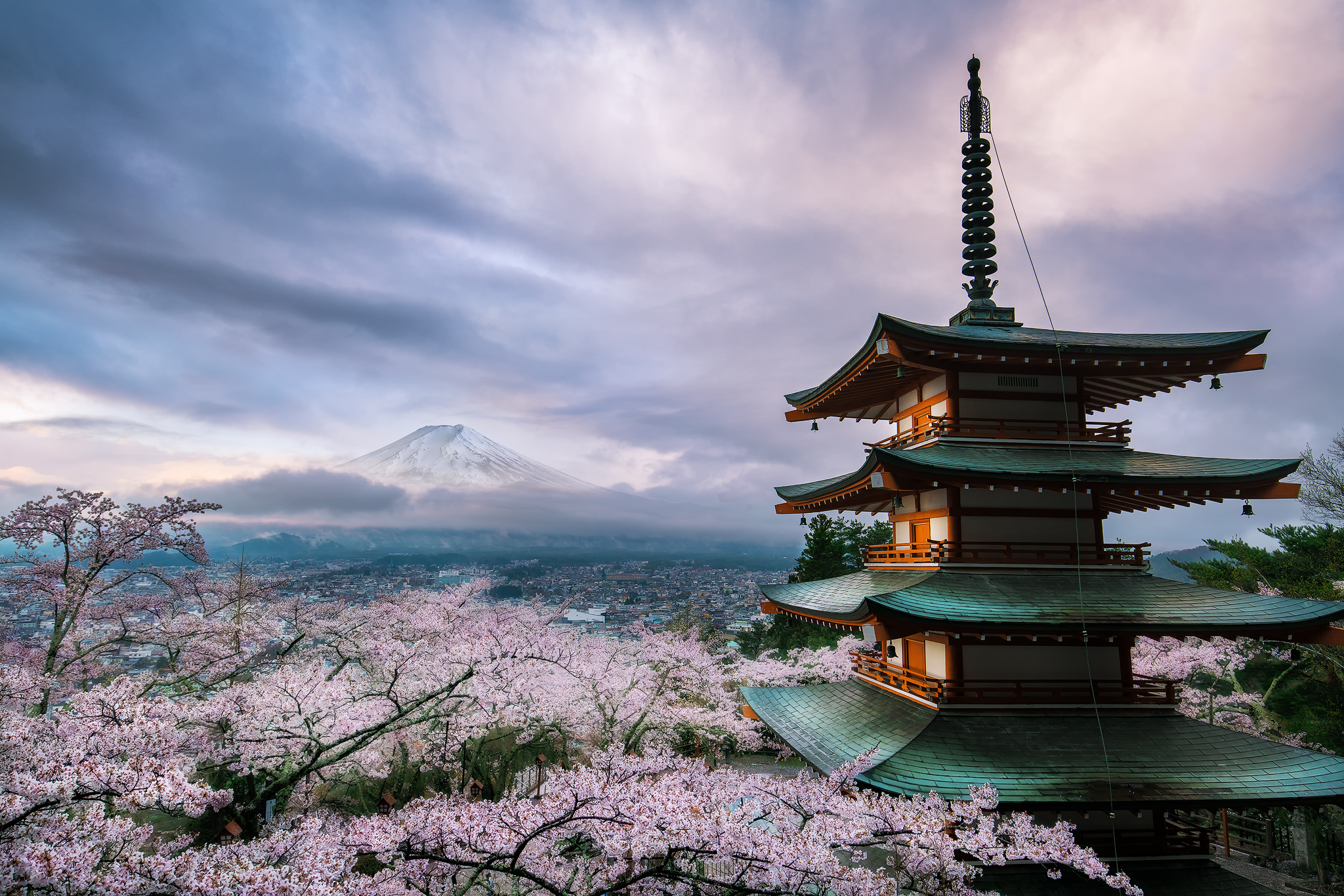 Mt.Fuji and Cherry blossoms