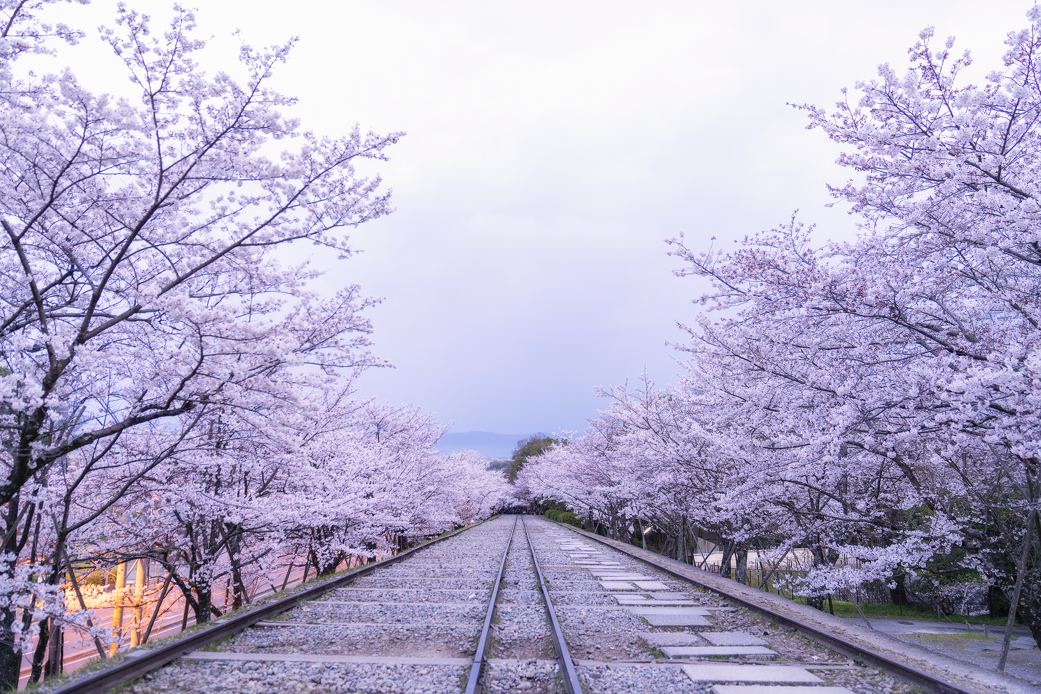 Rail