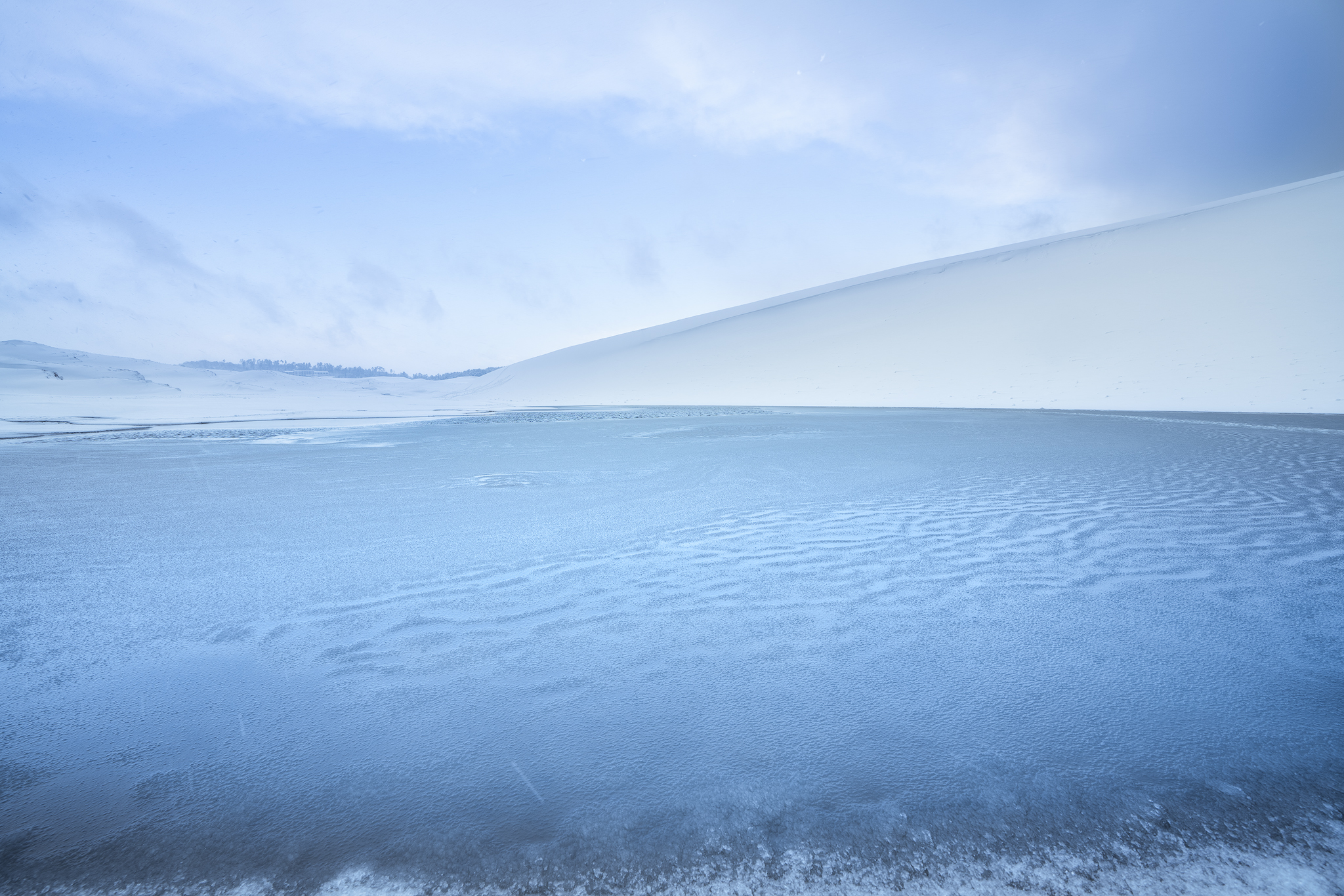 Oasis Of White Sand Dune